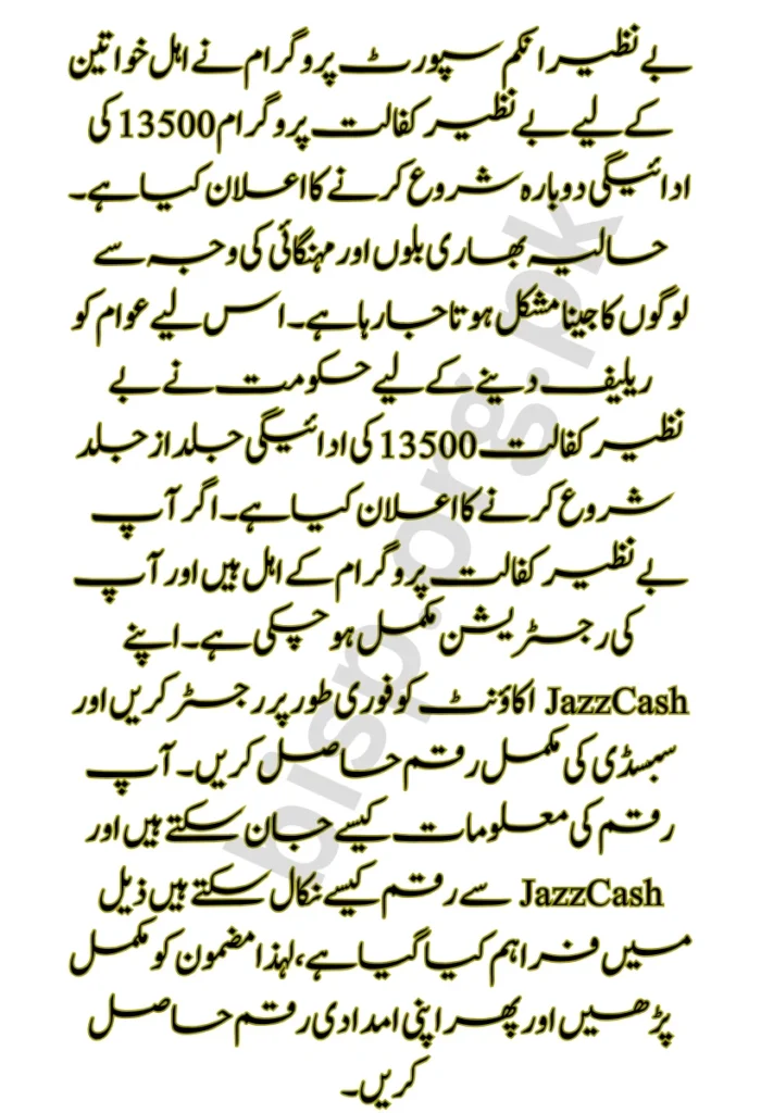 Benazir Kafaalat Program 13500