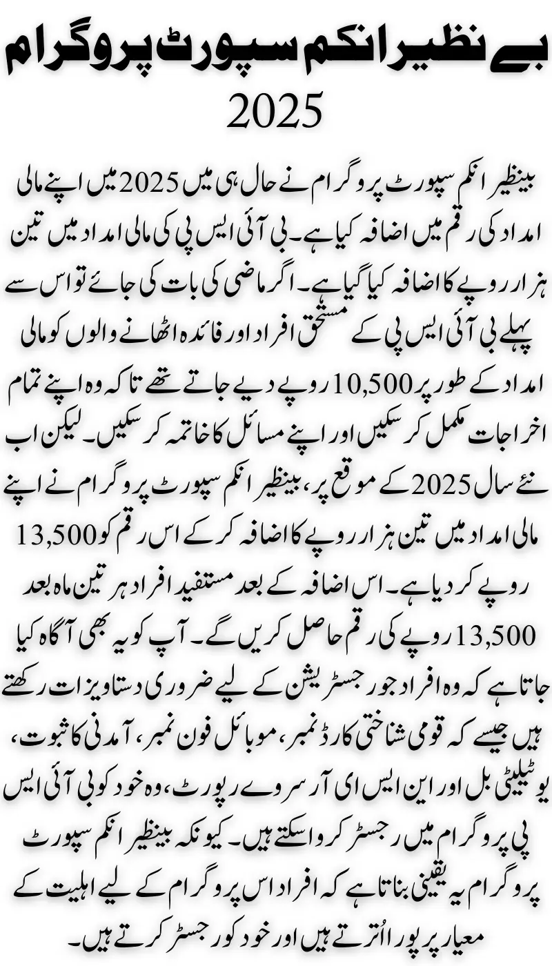 How to Apply Online for 8171 BISP 2025 Steps, Required Documents, and 13500 New Installment Details