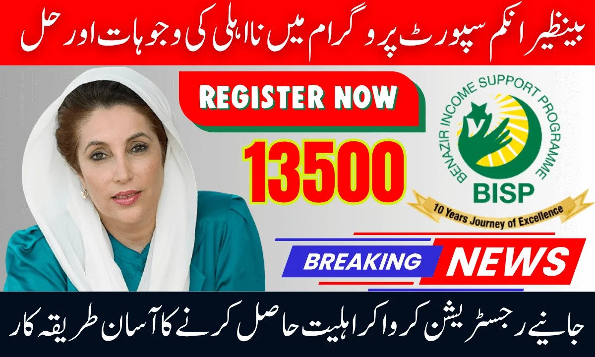 8171 Benazir Income Support Disqualification Reasons And Solutions 2025