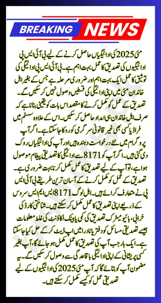 BISP Payments Validation Process