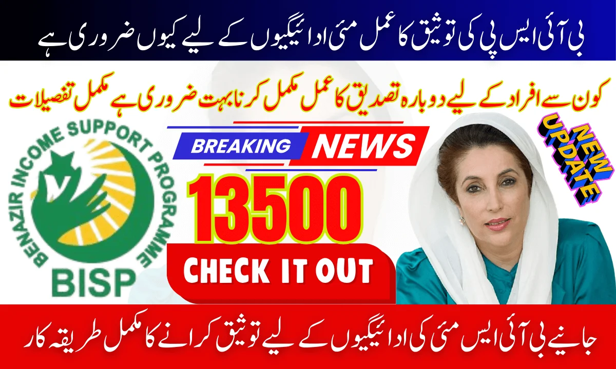 BISP Payments Validation Process