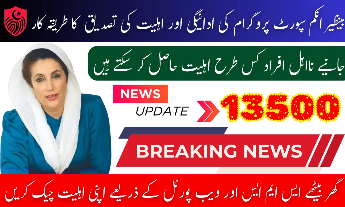 8171 Benazir Income Support Payment And Eligibility Confirmation For July 2025 Stipend