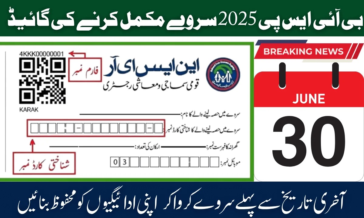 BISP 2025 Survey Completion Guide – Secure Your Payments Before June 30 Deadline