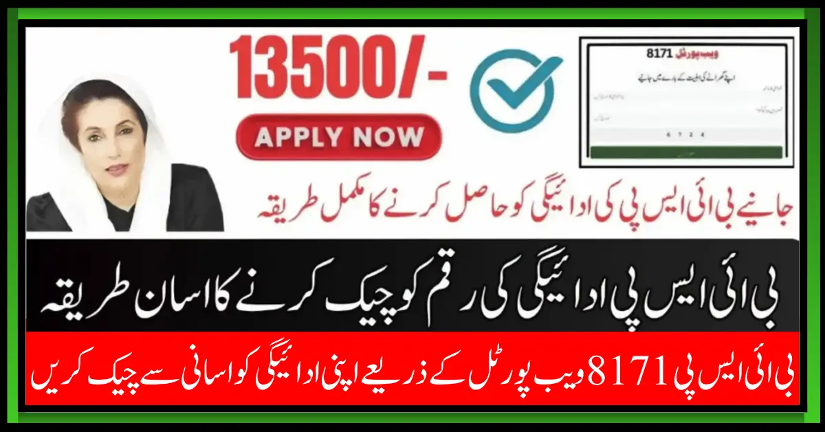 How to Check 8171 Web Portal Payment Status Step by Step in 2025