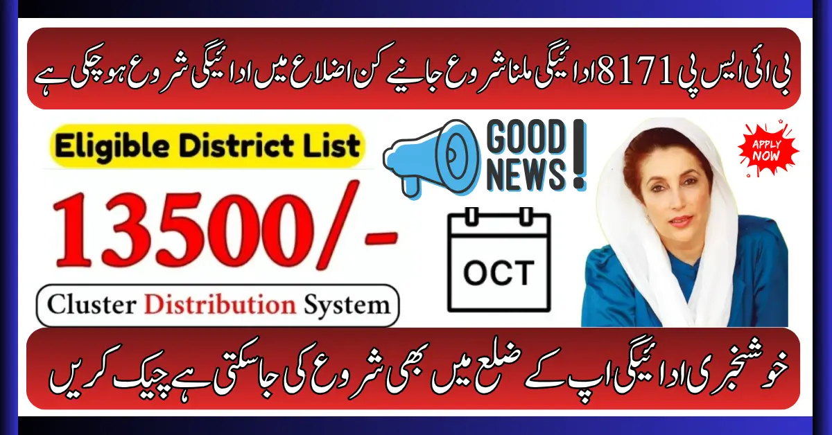 BISP 8171 Cluster Payment 2025 Check Payment Status by CNIC Online