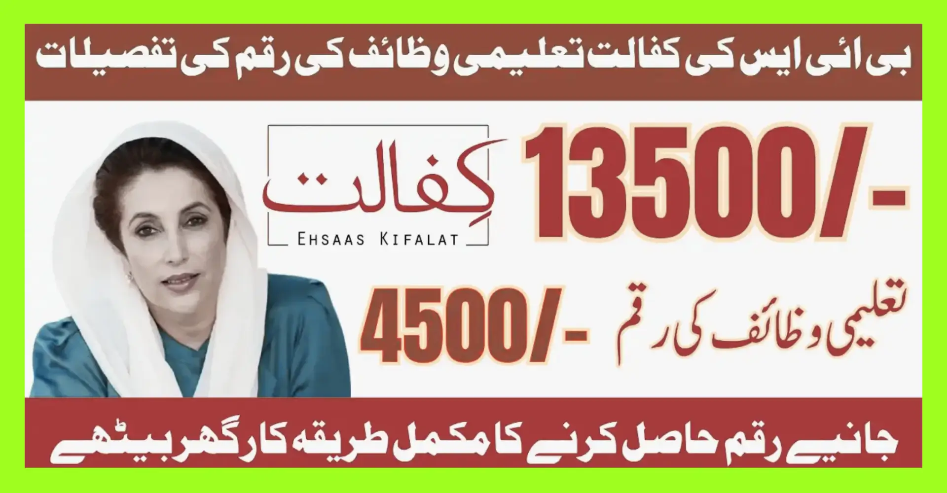 8171 Check Online CNIC 2025 Ehsaas and Benazir Taleemi Wazaif Program 2025