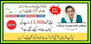 BISP November 2025 Payment Status Check Eligible, Pending, or Not Eligible Online 