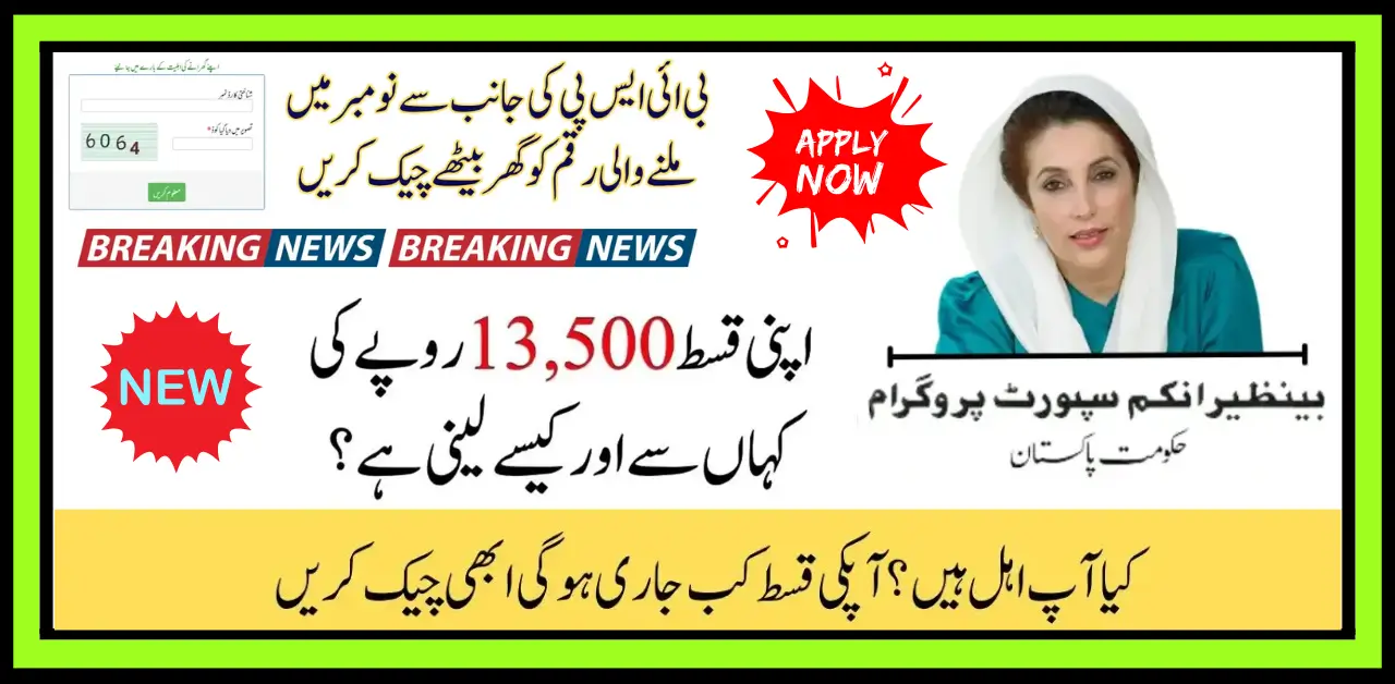 BISP November 2025 Payment Status Check Eligible, Pending, or Not Eligible Online 