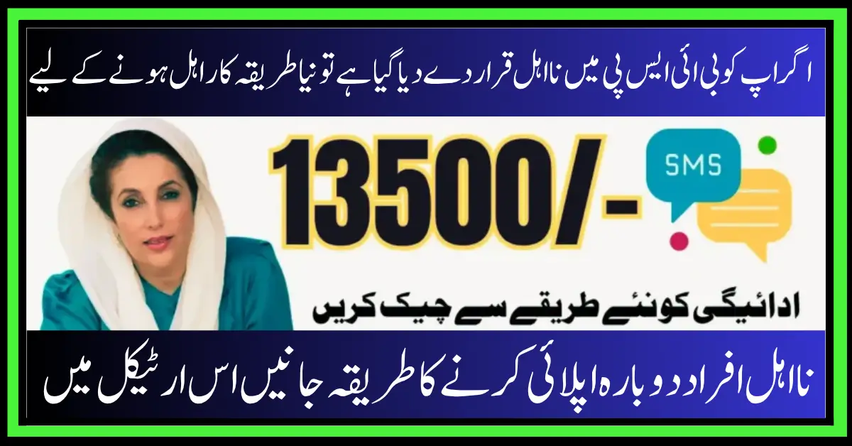 BISP New Registration 2025 How to Fix Ineligibility and Reapply for Rs 13,500 Payment